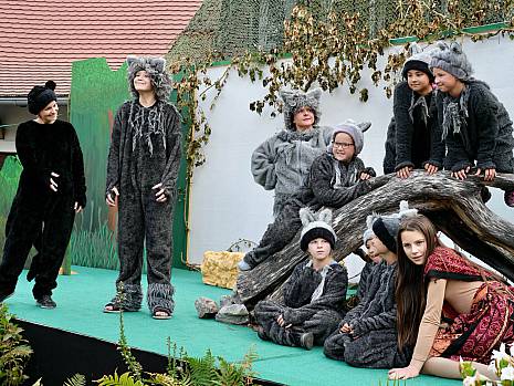 Mannheimer Dschungelbuch