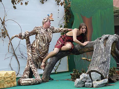 Mannheimer Dschungelbuch