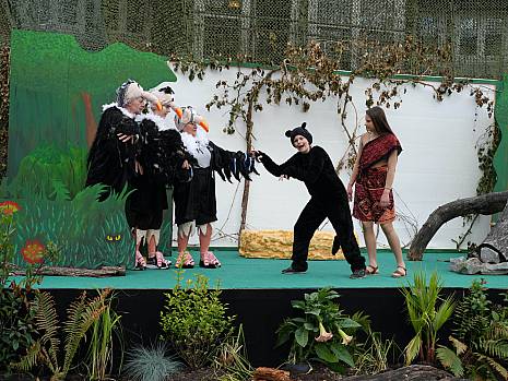 Mannheimer Dschungelbuch