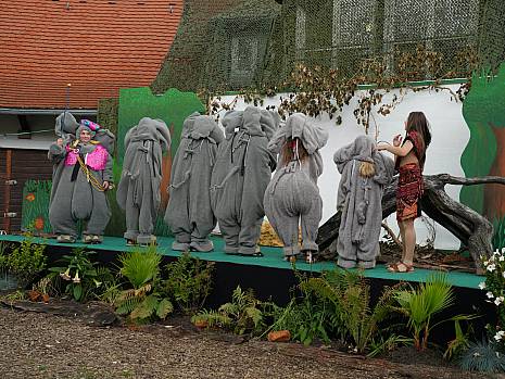 Mannheimer Dschungelbuch