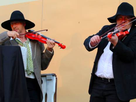 Vorstellung Piroschka am 21.05.2016